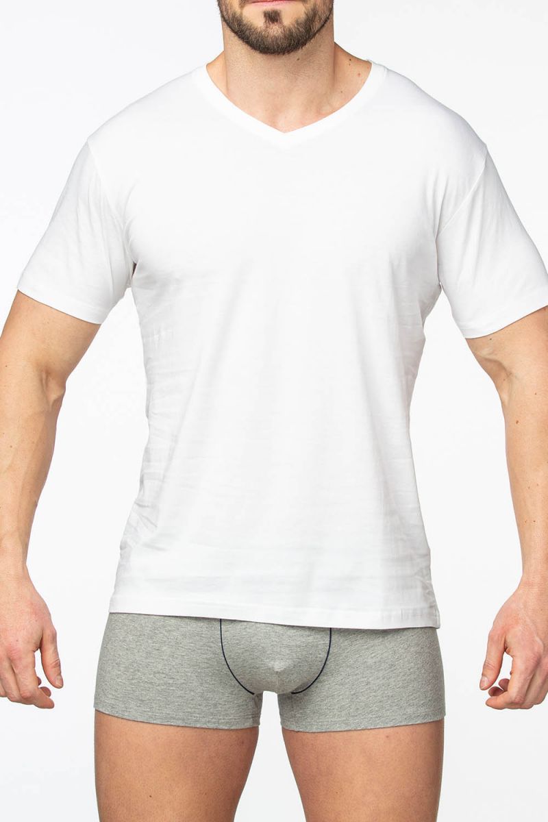 Мужская футболка с коротким рукавом и V-образным вырезом.